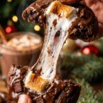A close-up of a warm chocolate cookie being pulled apart, showing a gooey, stretchy melted marshmallow center.
