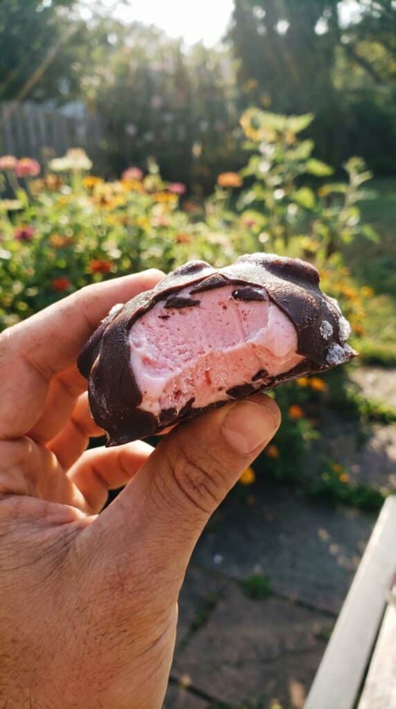 A hand holding a frozen chocolate-covered strawberry yogurt cluster with a bite taken out, set against a sunny, blurred outdoor background.