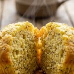 Close-up of the inside of a lemon poppy seed muffin showing the moist crumb.